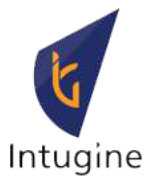 Intugine